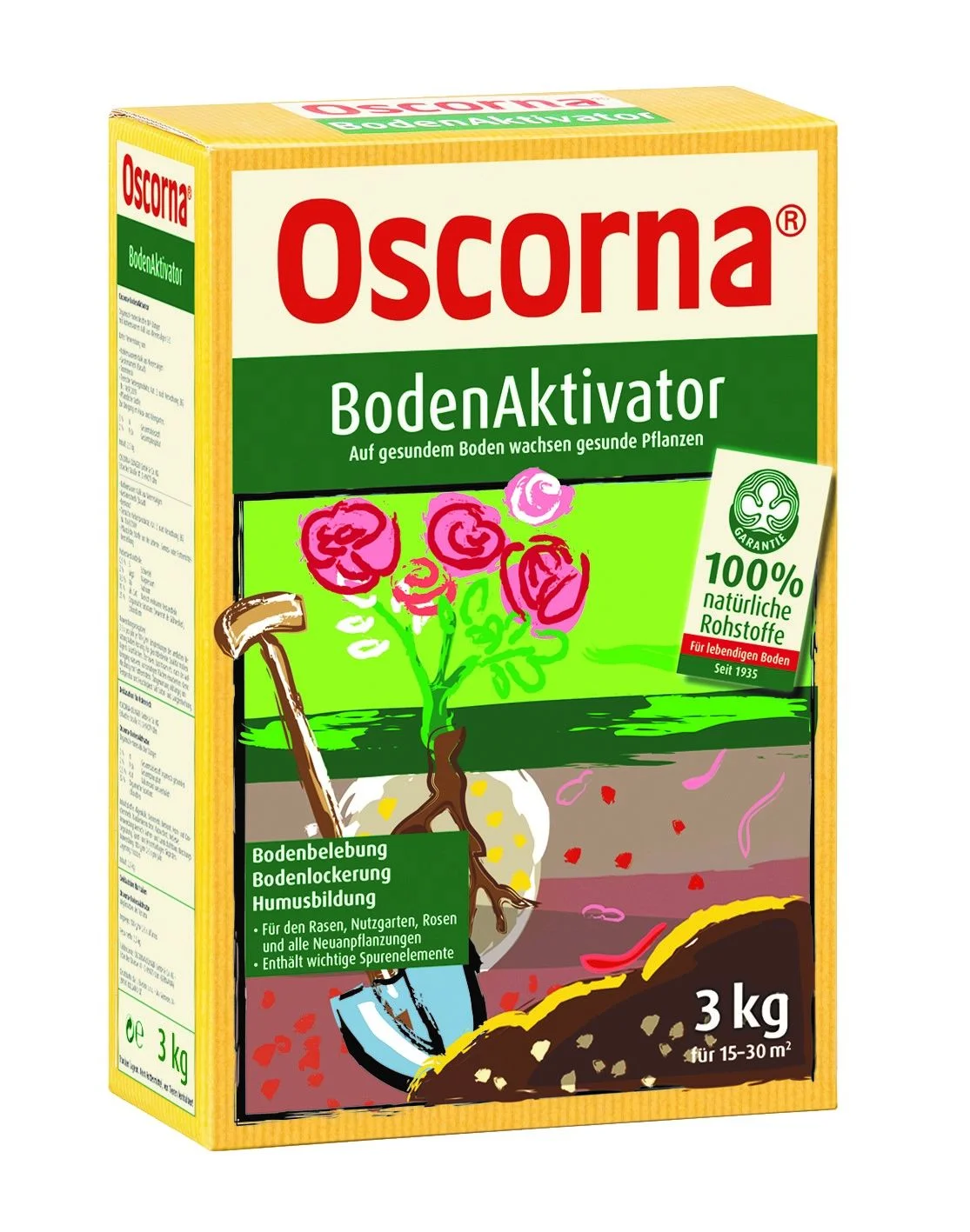 Rhododendron online kaufen - Blumen Risse