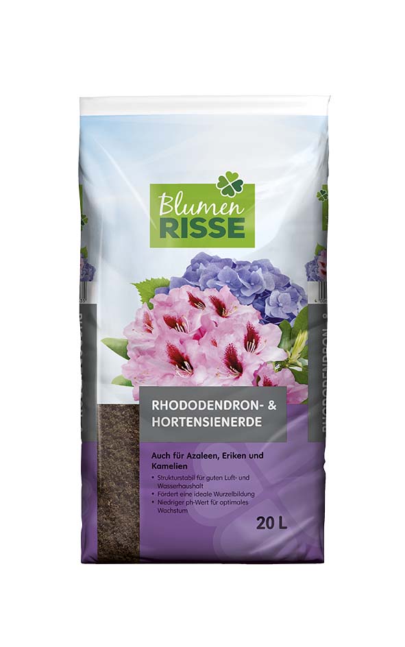 Laubgehlze - Blumen Risse