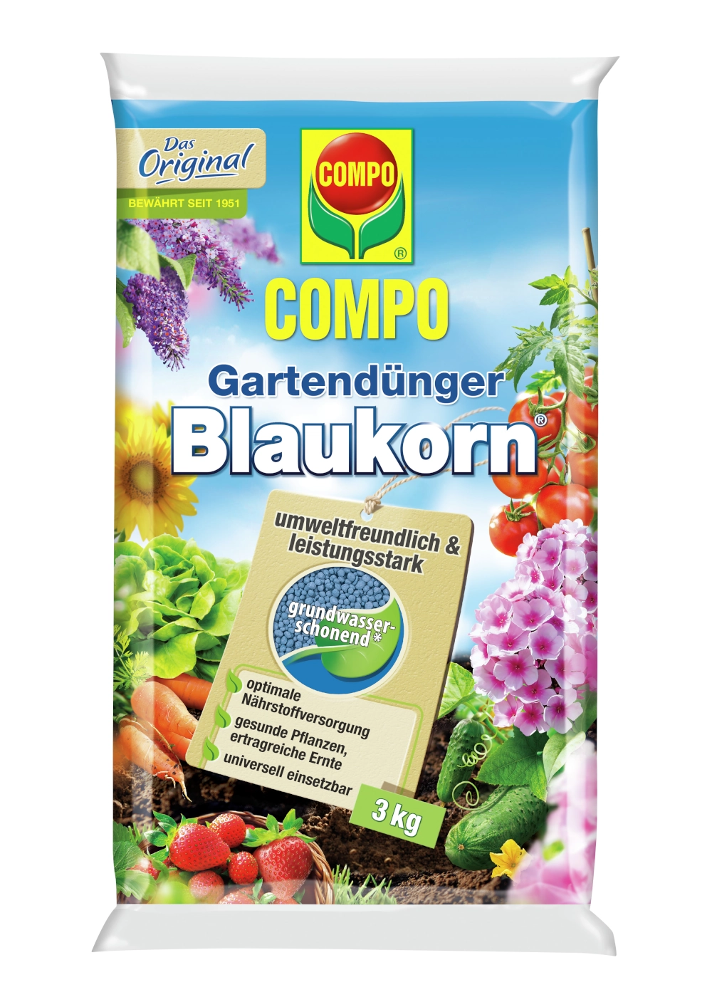 Blhende Hortensien online kaufen - Blumen Risse