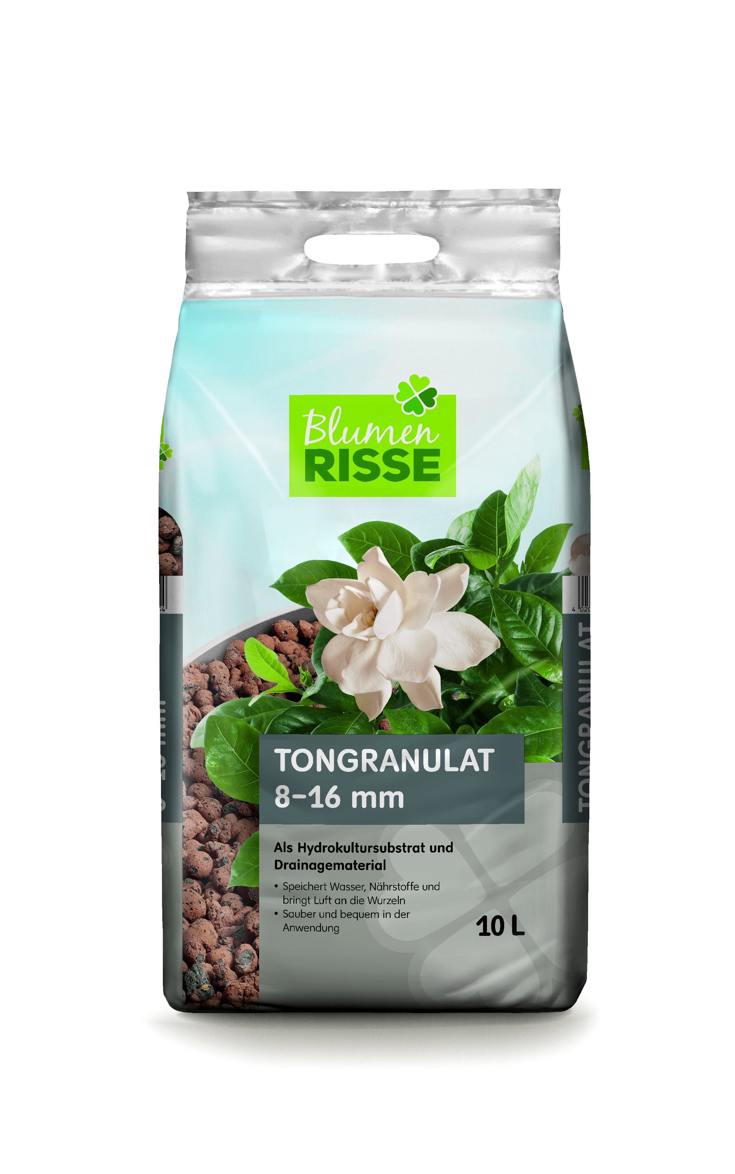 zimmerpflanzen discounter angebot Rette mich: Zimmerpflanzen 12er Set kaufen main image 0