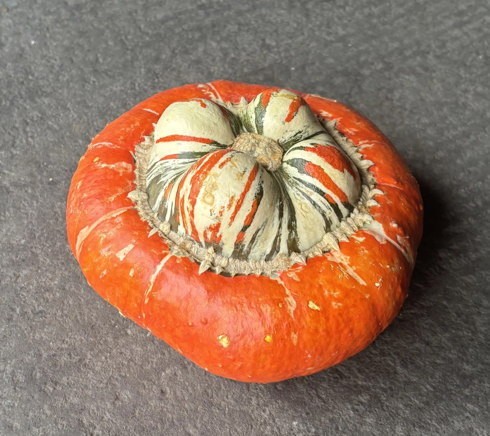 Zierkürbis 'Bischhofsmützen', orange Cover