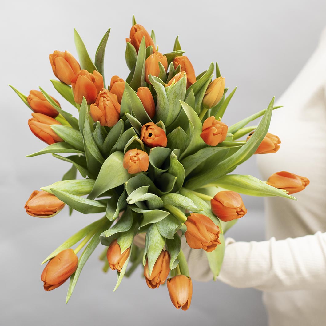 Frühlings-Deko Für Pinnwand & Klassenzimmer – Bunte Ausschnitte Mit Blumen, Schmetterlingen & Bienen