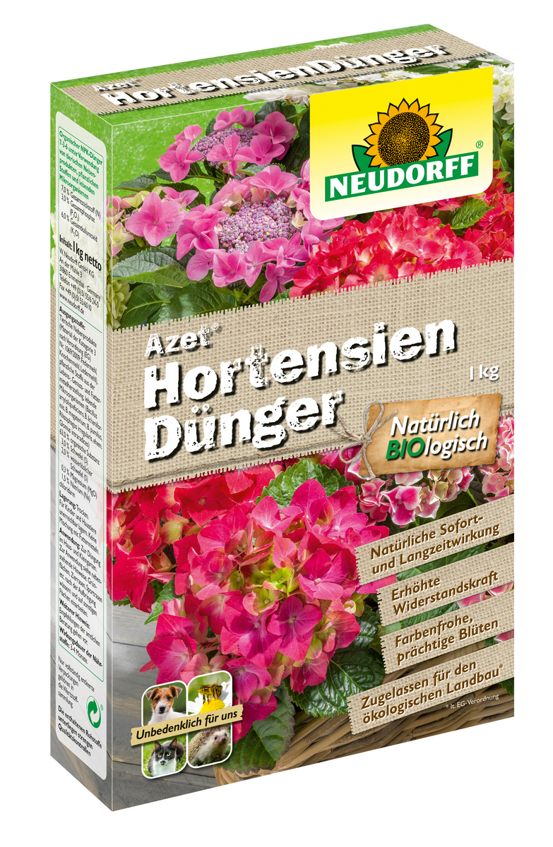Azaleen in verschiedenen Varianten online bestellen - Blumen Risse