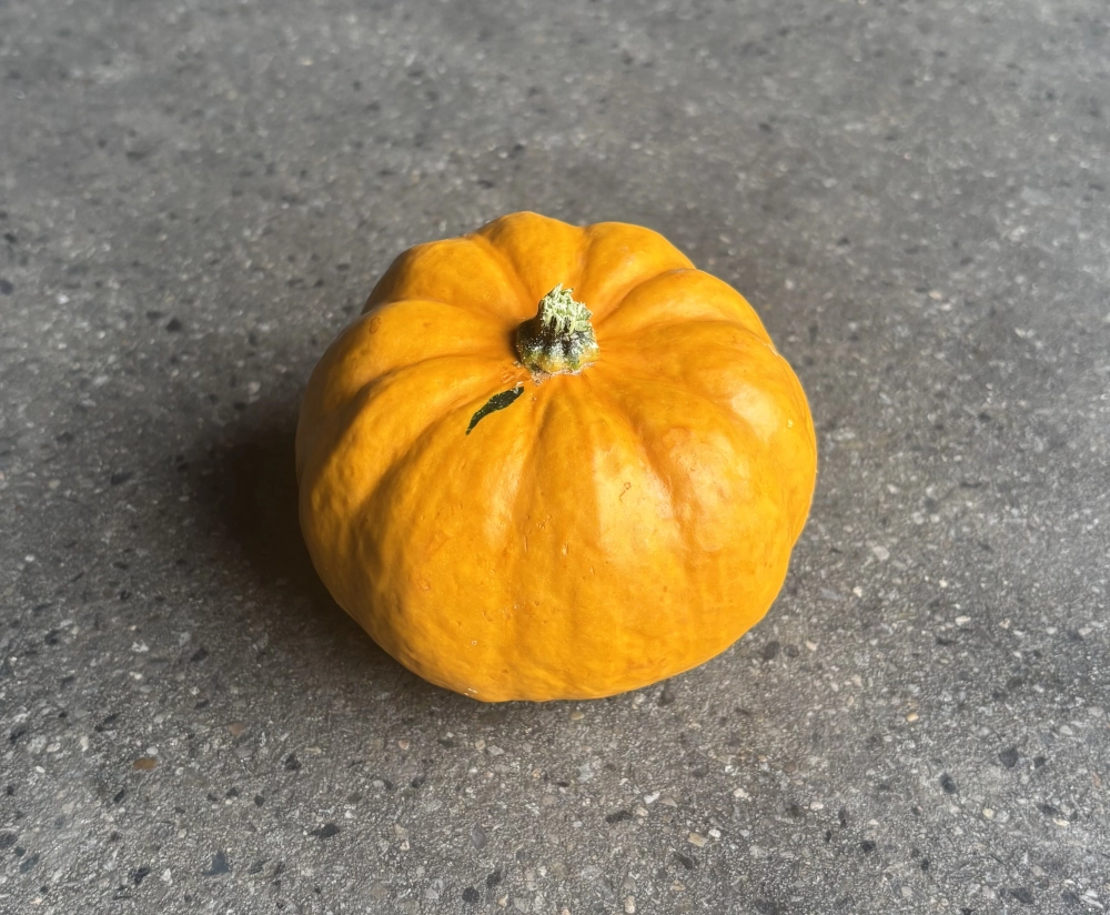 Zierkürbis 'Jack Be Little', orange Cover