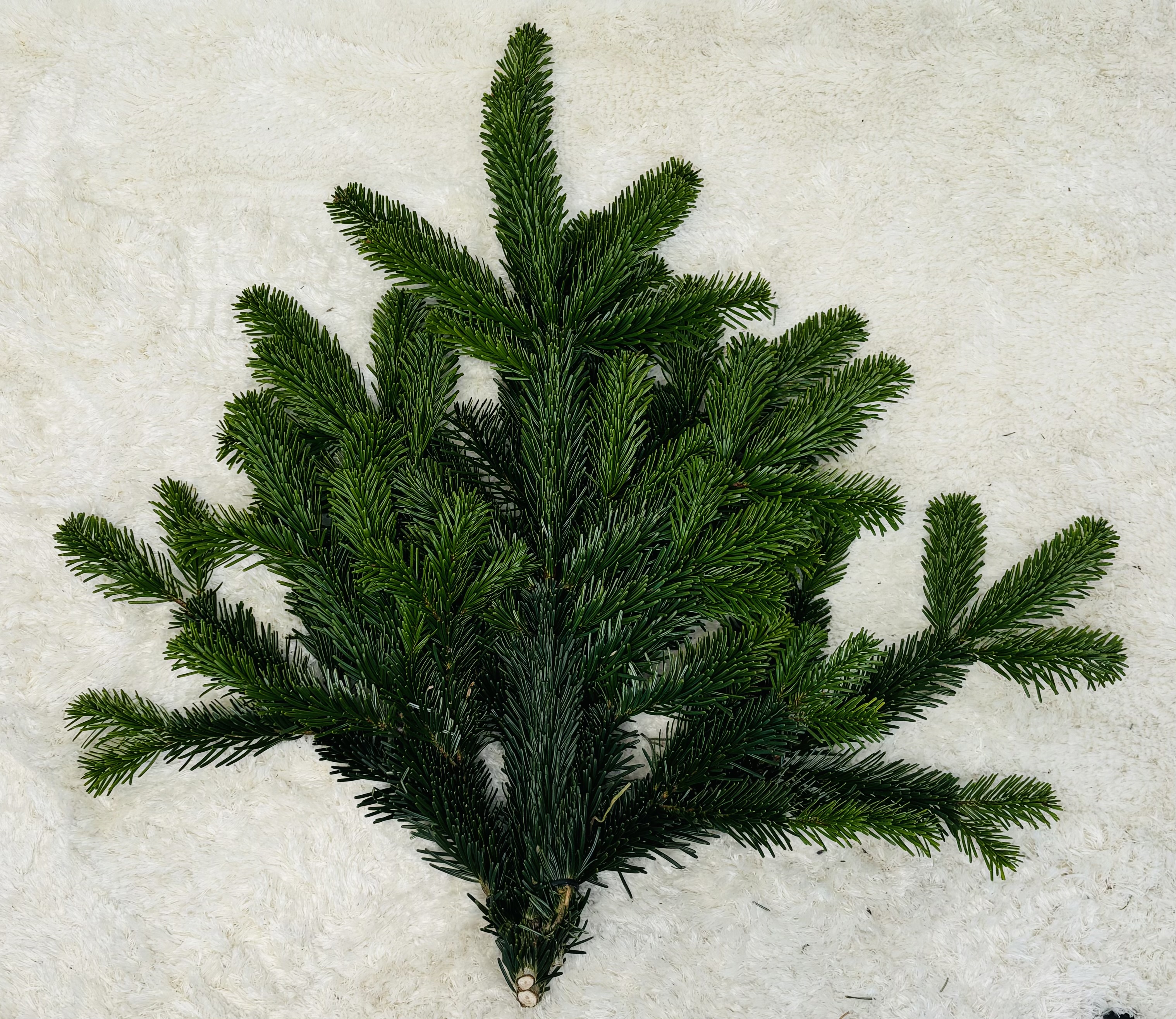 Spezialdnger kaufen - Blumen Risse