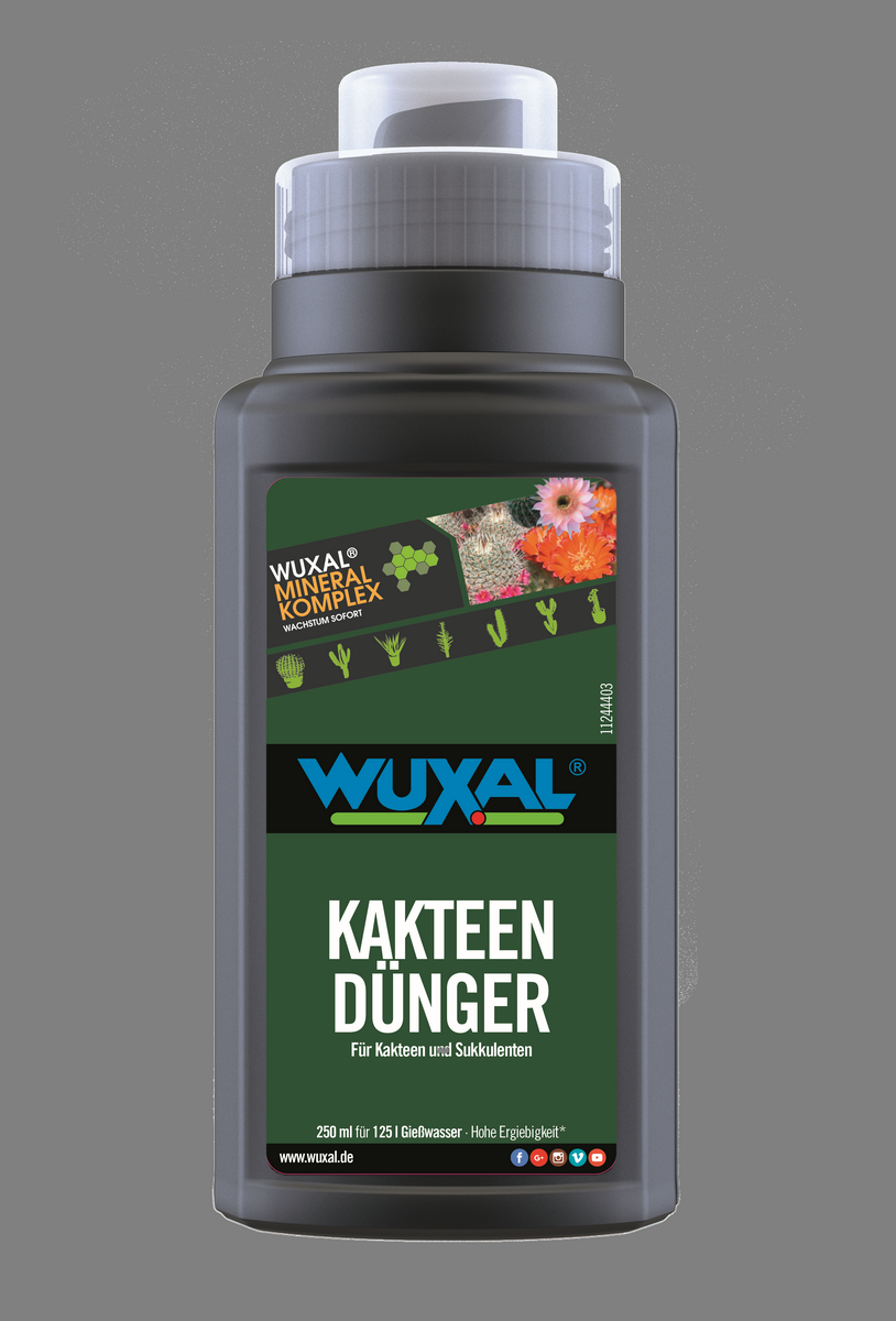 WUXAL Kakteen-& Bonsaidnger, 250 ml - Universaldnger - Blumen Risse