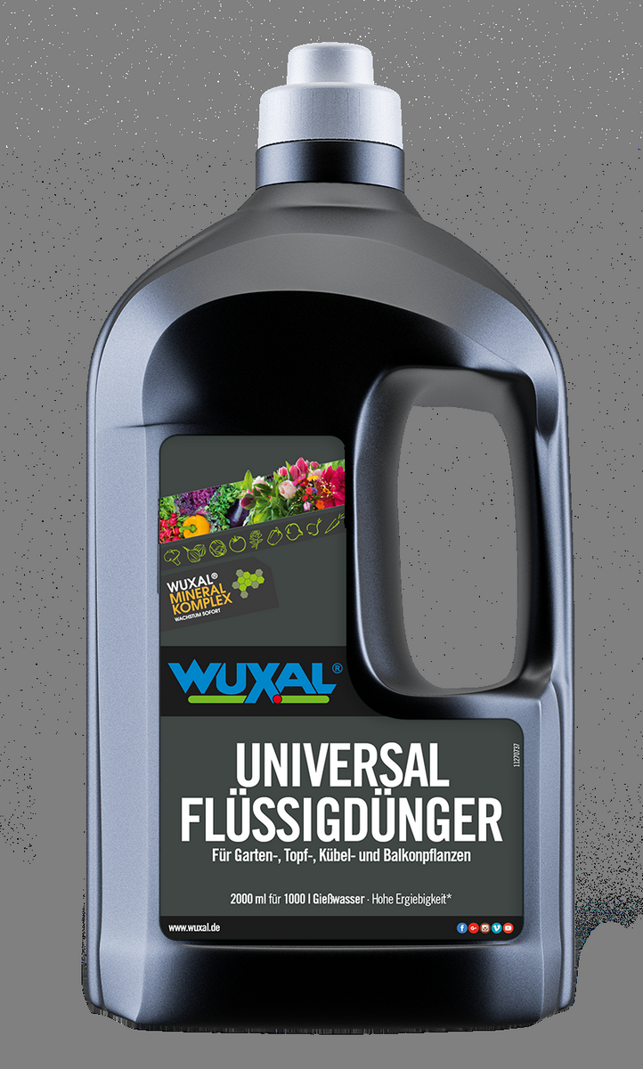 Grser kaufen - Blumen Risse