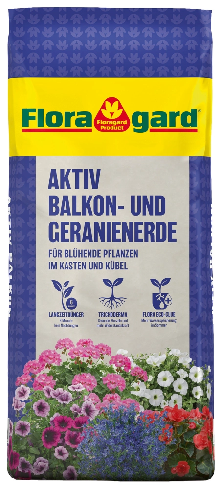zimmerpflanze schwiegermutterzunge Schwiegermutterzunge XXL main image 1