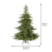 EVERLANDS Weihnachtsbaum 'Grandis', Edeltanne, mit LED-Beleuchtung, 180x132 cm - Vorschau Bild 1