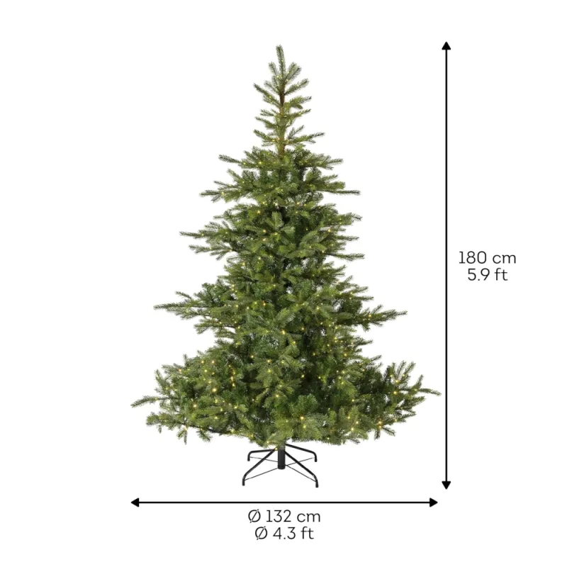 EVERLANDS Weihnachtsbaum 'Grandis', Edeltanne, mit LED-Beleuchtung, 180x132 cm - Gallerie Bild 3