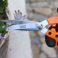 SIENA GARDEN Garten-& Blumenschere 'CG2060', 19 cm - Vorschau Bild 1