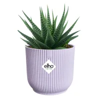 ELHO Pflanzgefäß 'Vibes Fold Mini', Ø7x6 cm, violett - Vorschau Bild 1