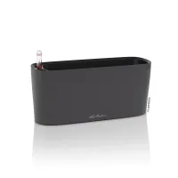 LECHUZA Pflanzgefäß 'Delta 10 Premium', 30x11x13 cm, anthrazit - Vorschau Bild 1