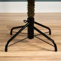EVERLANDS Weihnachtsbaum 'Kenmore', Edeltanne, 150x81 cm - Vorschau Bild 1