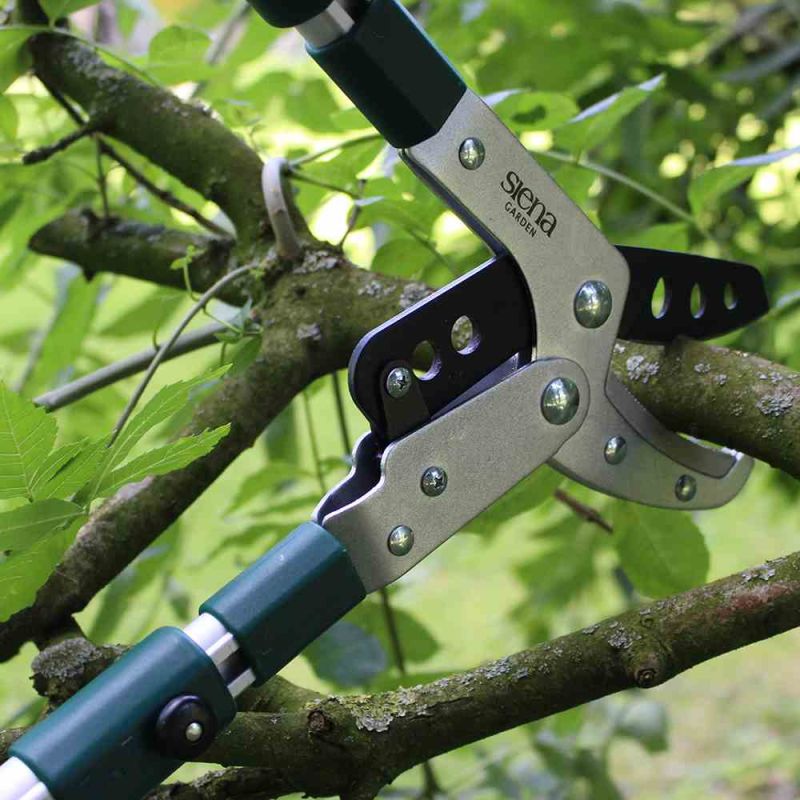 SIENA GARDEN Amboss-Astschere 'Pro Alu', teleskopierbar - Gallerie Bild 2