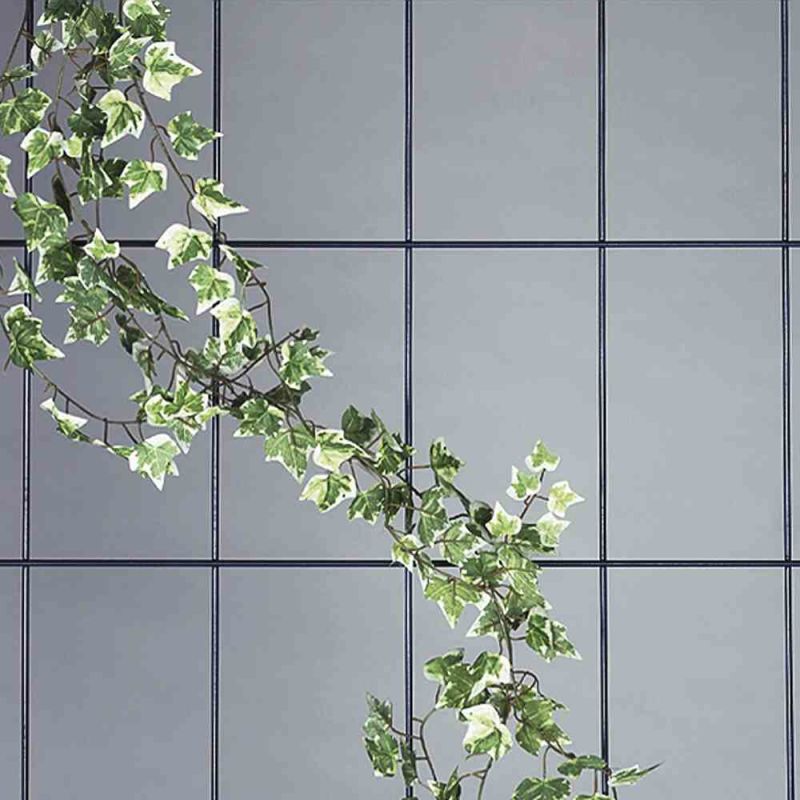 SIENA GARDEN Rosenspalier, 5-Strebig, 150x60 cm, grau - Gallerie Bild 1