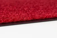 ASTRA Fussmatte 'Proper Tex Uni', 40x60 cm, rot - Vorschau Bild 1