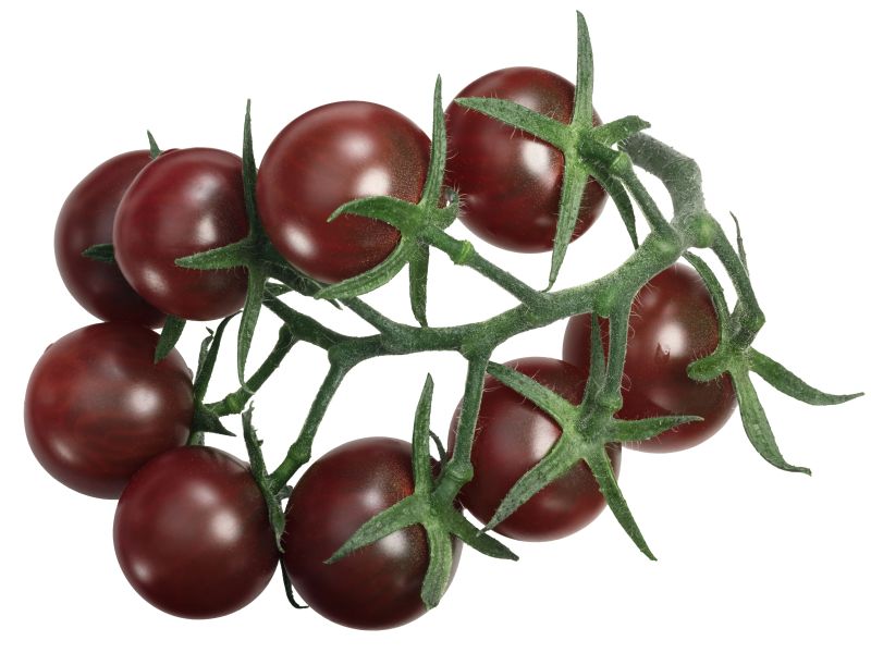 Woration Künstliche Tomaten-Girlande – Keramik, 52 Cm, 12 Tomaten, Zum Aufhängen, Bauernhaus-Deko