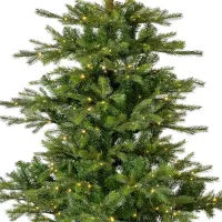 EVERLANDS Weihnachtsbaum 'Grandis', Edeltanne, mit LED-Beleuchtung, 180x132 cm - Vorschau Bild 1