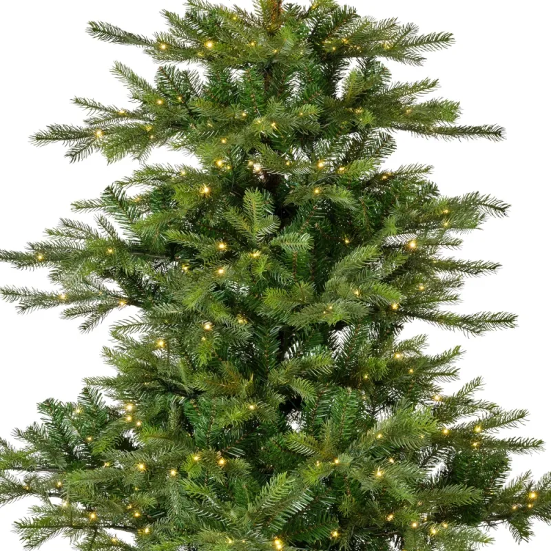 EVERLANDS Weihnachtsbaum 'Grandis', Edeltanne, mit LED-Beleuchtung, 180x132 cm - Gallerie Bild 2