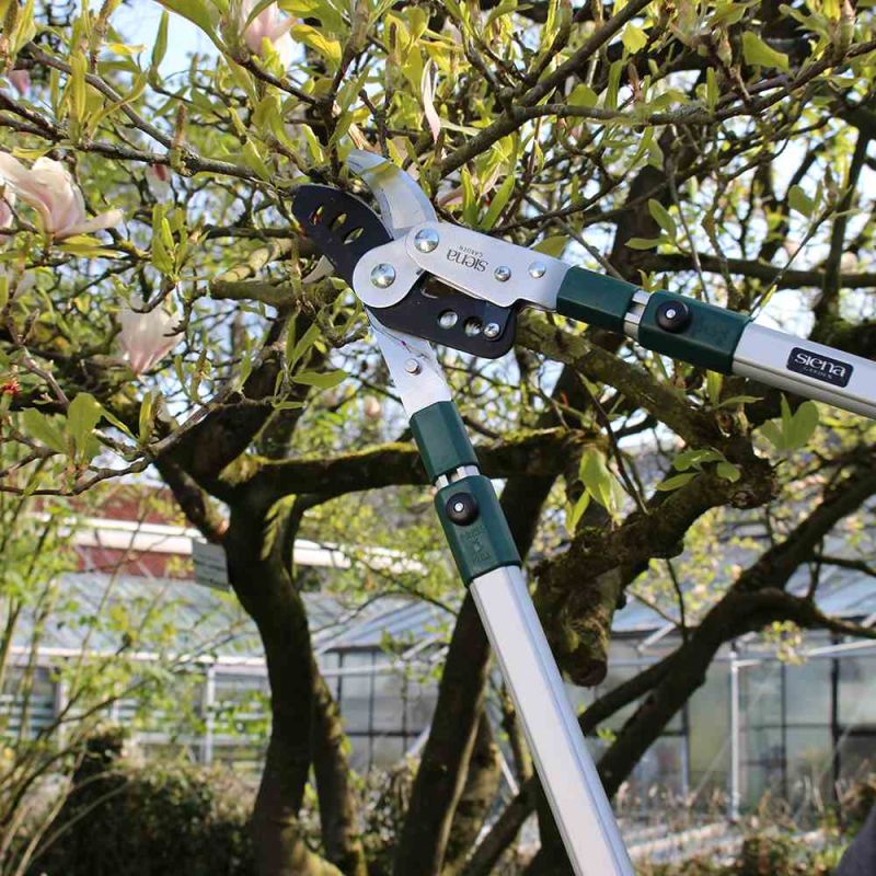 SIENA GARDEN Bypass-Astschere 'Pro Alu', teleskopierbar - Gallerie Bild 4