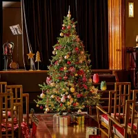 EVERLANDS Weihnachtsbaum 'Grandis', Edeltanne, mit LED-Beleuchtung, 180x132 cm - Vorschau Bild 1