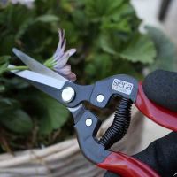 SIENA GARDEN Lese-, Ernte-& Blumenschere 'Premium' - Vorschau Bild 1