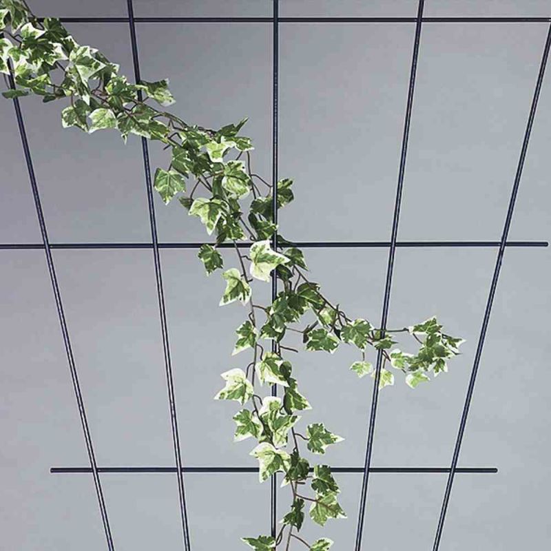 SIENA GARDEN Rosenspalier, V-Form, 150x75cm - Gallerie Bild 1
