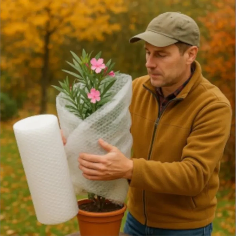 MOTTEZ Winter Luftpolsterfolie, 1000x100 cm, transparent - Gallerie Bild 2