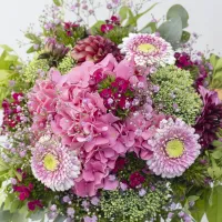 'Pink Fluff' - Vorschau Bild 1