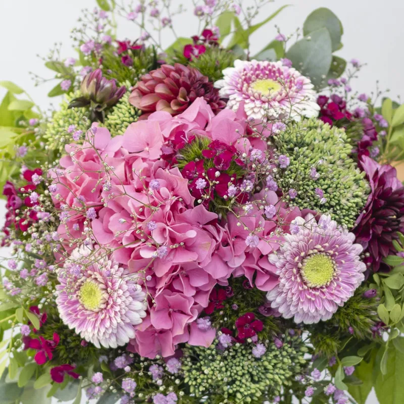 'Pink Fluff' - Gallerie Bild 4