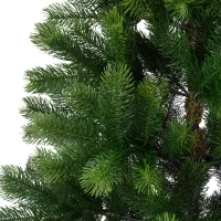 EVERLANDS Weihnachtsbaum 'Kenmore', Edeltanne, 150x81 cm - Vorschau Bild 1