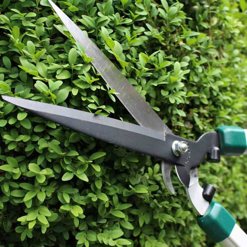 SIENA GARDEN Heckenschere 'CH2560', mit Astabschneider - Gallerie Bild 2