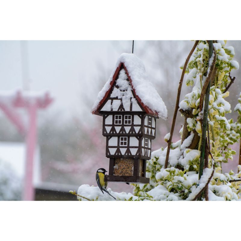 DOBAR Vogelhaus 'Zuckerhut', 20x18x41 cm, hängend, braun-weiß-rot - Gallerie Bild 6