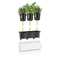 LECHUZA Pflanzgefäß 'Cube Premium Triple', 14x40x13,5 cm, weiß - Vorschau Bild 1