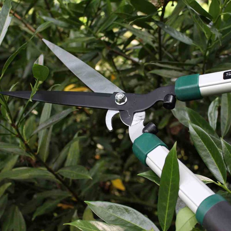 SIENA GARDEN Heckenschere 'CH2560', mit Astabschneider - Gallerie Bild 3