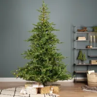 EVERLANDS Weihnachtsbaum 'Grandis', Edeltanne, mit LED-Beleuchtung, 180x132 cm - Vorschau Bild 1