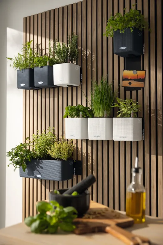 LECHUZA Pflanzgefäß 'Cube Premium Triple', 14x40x13,5 cm, grau - Gallerie Bild 3