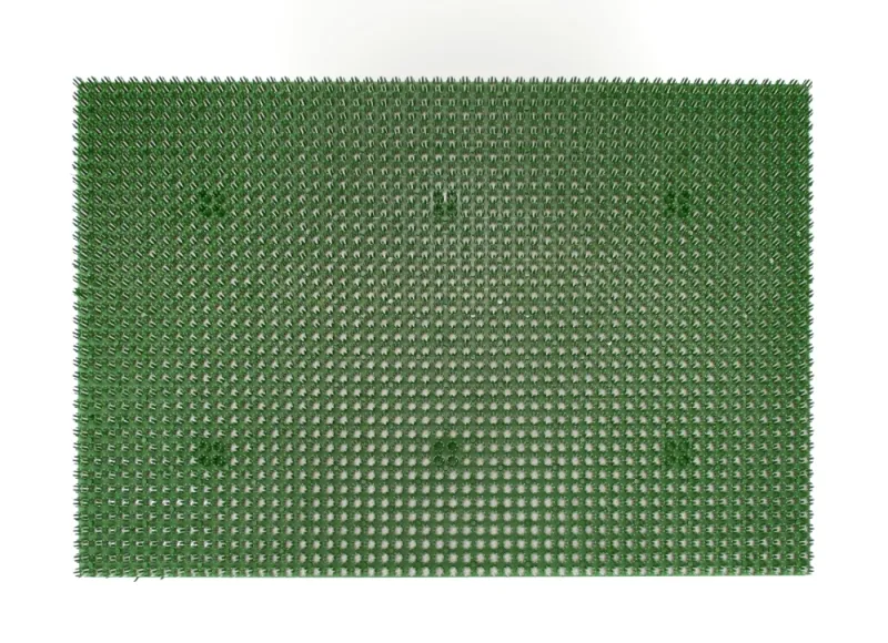 ASTRA Fussmatte 'Season', 40x60 cm, grün - Gallerie Bild 1